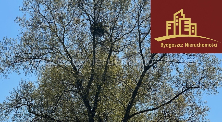 na sprzedaż działka Toporzysko 